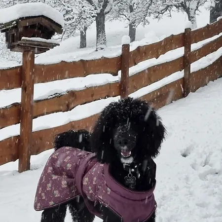 Schwarzguetl Apartmán *