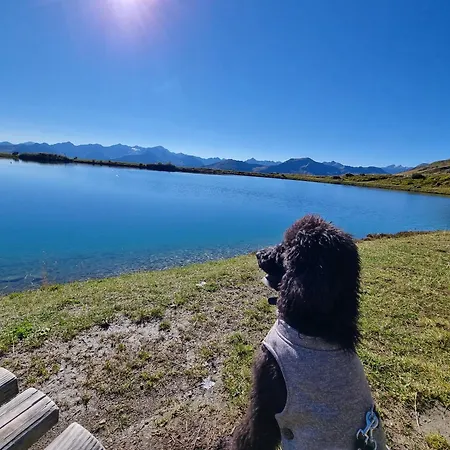 Schwarzguetl * Bad Hofgastein