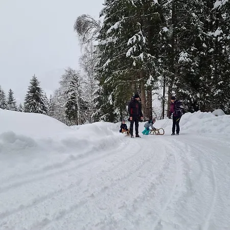 Appartement Schwarzguetl Bad Hofgastein