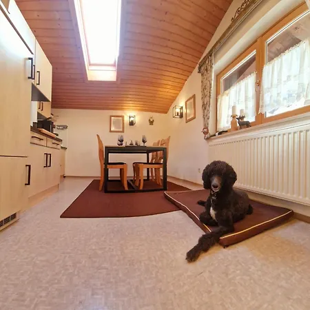 Apartmán Schwarzguetl *