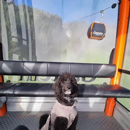 Schwarzguetl Bad Hofgastein