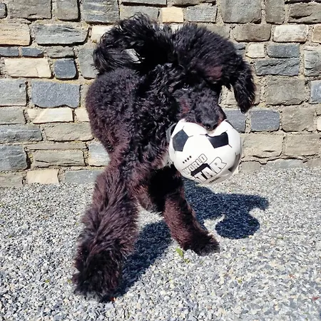 Schwarzguetl Apartmán Bad Hofgastein