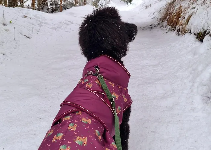 Schwarzguetl * Bad Hofgastein