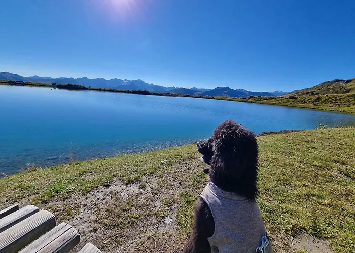 Schwarzguetl * Bad Hofgastein