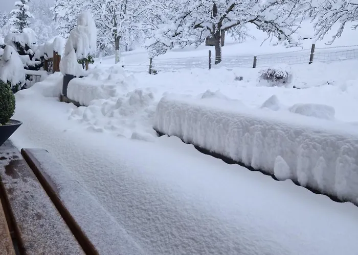 アパート Schwarzguetl バート・ホーフガシュタイン