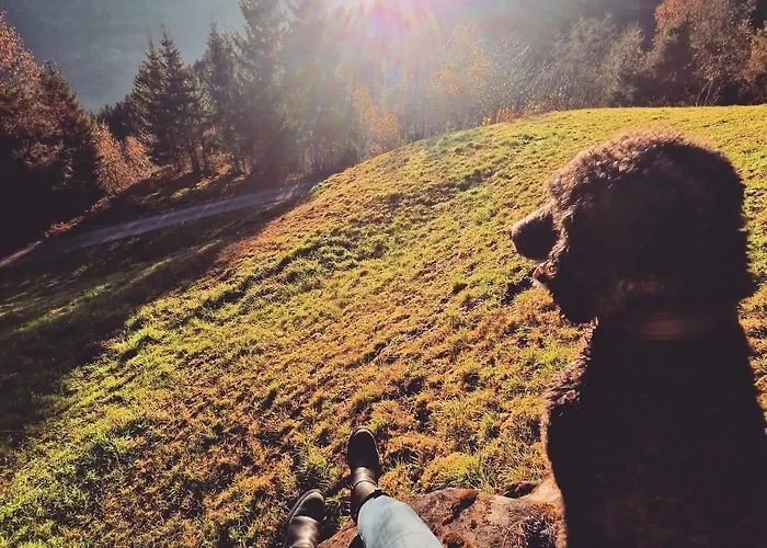 Schwarzguetl Apartman