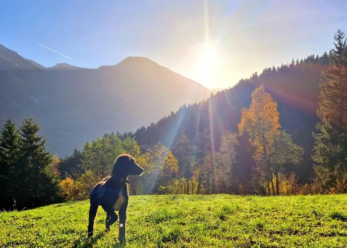 Apartman Schwarzguetl