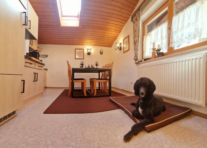 Apartman Schwarzguetl *