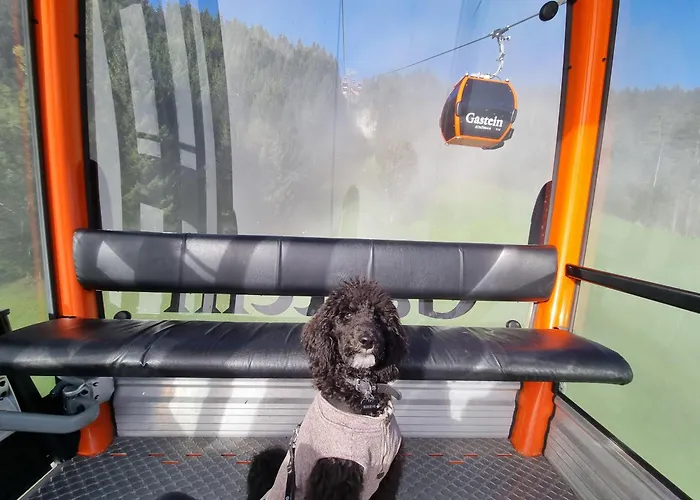 Schwarzguetl Bad Hofgastein