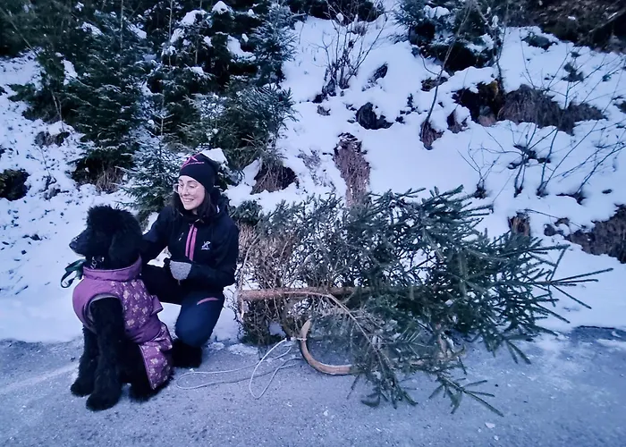 Schwarzguetl バート・ホーフガシュタイン