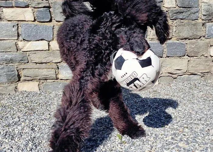 Schwarzguetl Apartman Bad Hofgastein